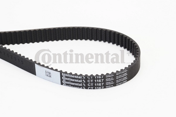 Timing Belt